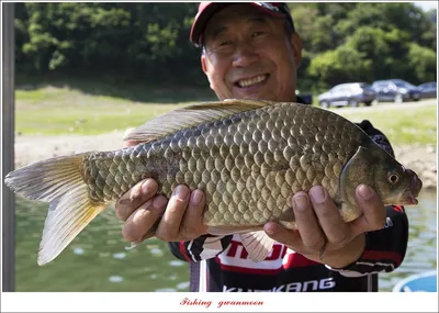 목벌 낚시터 4 짜..문골..돌감..솔..칠성지 4 짜 조황..
