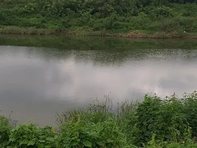 무료터 청미천==낚시 절대 가능