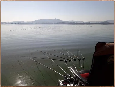 진위천 조황 소식