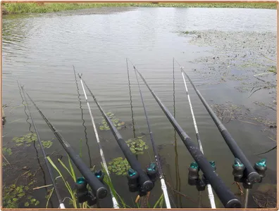 진위천 조황 소식