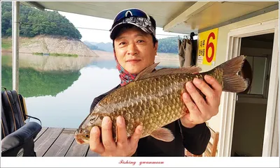 한버들 43.5 cm 및 명서..제일..사오리..후산리 오름수위 전 소식..