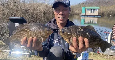 고삼지 노지 대물들