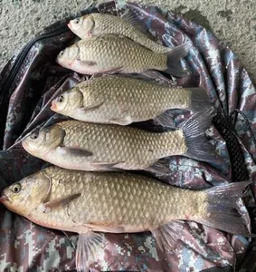 안흥수낚시 주변 물낚시 가능한 낚시터들