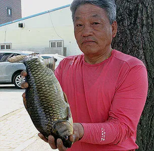 걸면 대물의 계절-가정의 달에 드리는 조황안내