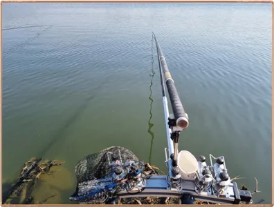 진위천 평택호 조황 