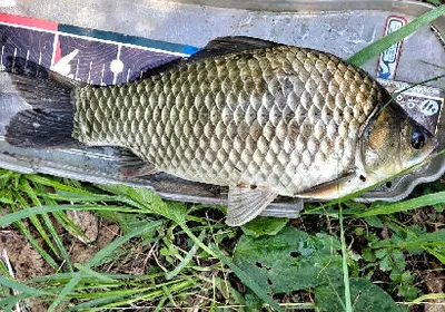 낚시가 갑인듯....연일 폭염예보