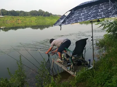 무료터 청미천===붕어 나옵니다