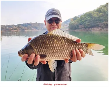 돌감 4 짜..솔 39 cm..38 cm..마릿수 월척 조황..