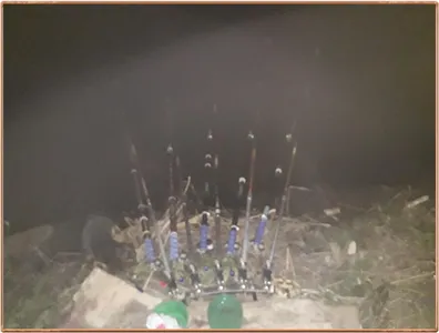 진위천 조황 소식