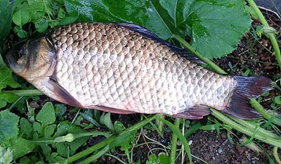 가을의 시작, 9월 입니다.