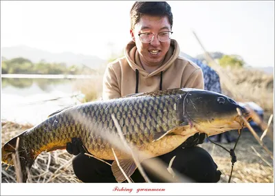 화곡지 4 짜..달천강 대형 잉어 조황..