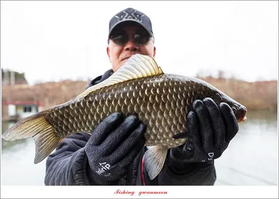 한버들 41 cm..37 cm..35 cm..종점 이벤트 시상..