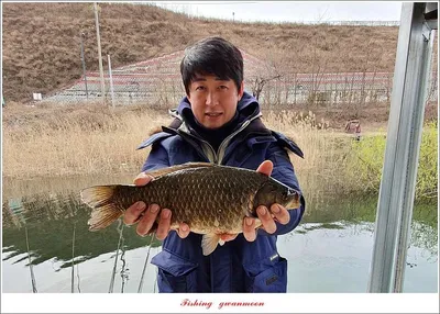 화곡지 사짜 조황..