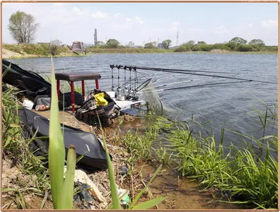 진위천 조황 소식
