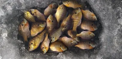 고삼,사암지---일요일 오후모습