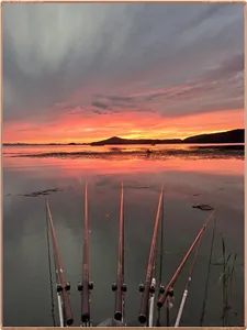 진위천 평택호 조황 