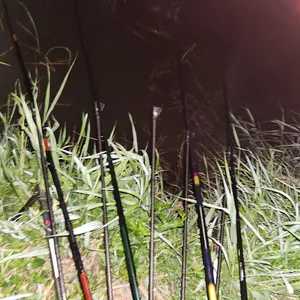 평택호 진위천 남양호 조황 소식