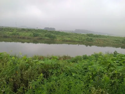 무료터 청미천===낚시가능