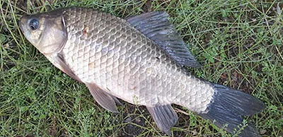 5월에 드리는 조황안내 입니다.