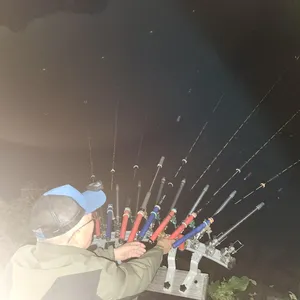 평택호 진위천 남양호 조황 소식