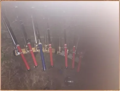 진위천 조황 소식