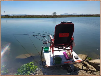 진위천 평택호 조황 