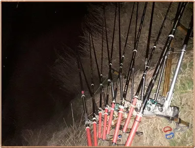 진위천 조황 소식