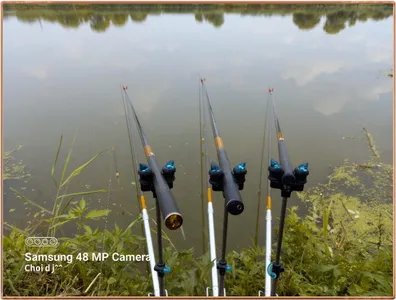 진위천 조황 소식