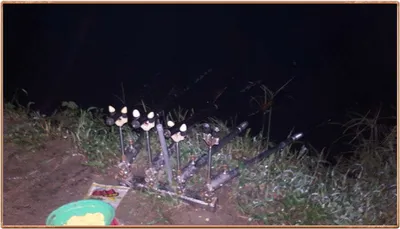 진위천 조황 소식