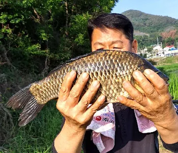 여름으로 가는 5월 마지막주 조황안내