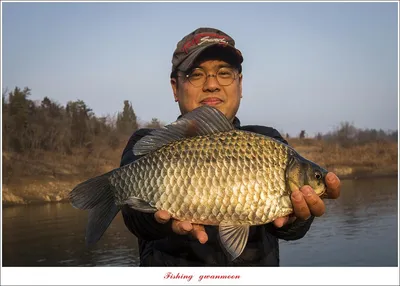 돌감 좌대 4 짜 및 최대어 이벤트 시상식..
