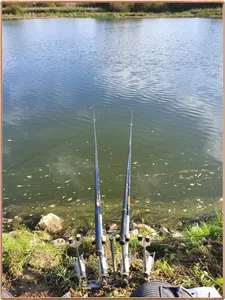 진위천 조황 소식