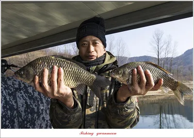 솔 38.5 cm 외  ..돌감 월척 조황..