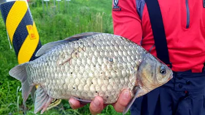 푸르름 가득한 5월의 조황안내 입니다.