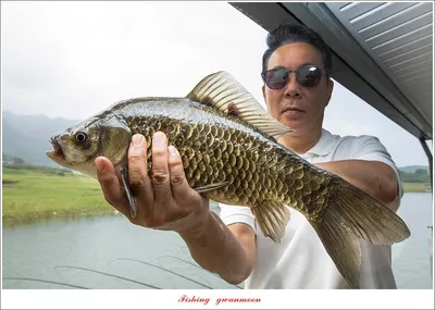 솔 4 짜 호조황..제일 4 짜..사오리 4 짜 조황..