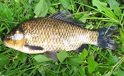 가을-시월의 저수지 모습 입니다.