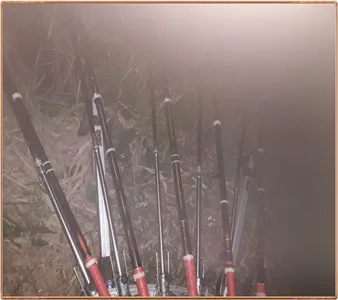 진위천 평택호 조황 