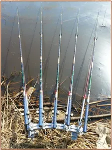 진위천 평택호 조황 