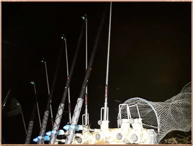 진위천 조황 소식