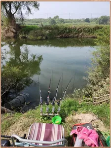 진위천 평택호 조황 