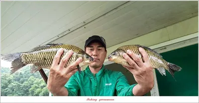 충주호 2 차 오름수위..늘푸른 월척 조황..