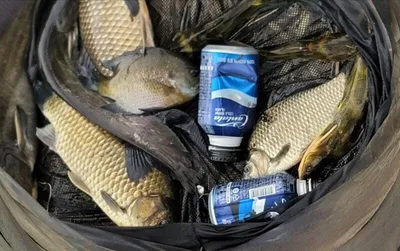 무료터 청미천의 모습