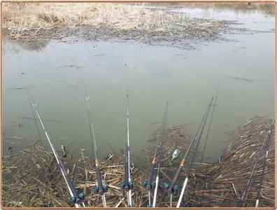 진위천 조황 소식