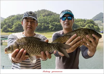 목벌 42 cm..41 cm..35 cm..대물 조황..