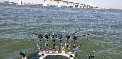 진위천 평택호 남양만 조황 소식