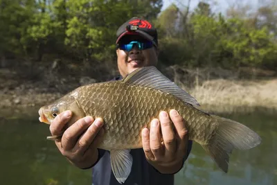 한버들 43.5 cm..42.5 cm..40.5 cm..39.5 cm..대물 조황..