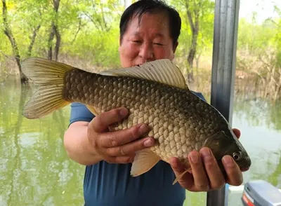 아깝다 분명 5짜인데===송전지