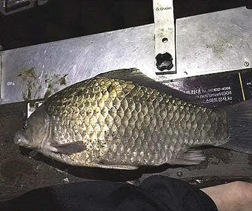 7월-첫장마비 후 저수지 상황