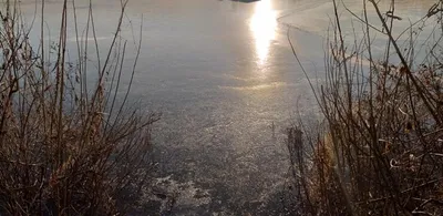 얼음이 꽁꽁꽁===고삼지