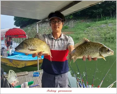 돌감 4 짜..제일 39 cm..38 cm..37 cm..칠성지 월척 조황..